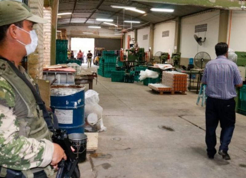 Envases Paraguayos y Tupá SA en la mira de la Senad por la incautación récord en Alemania y Bélgica