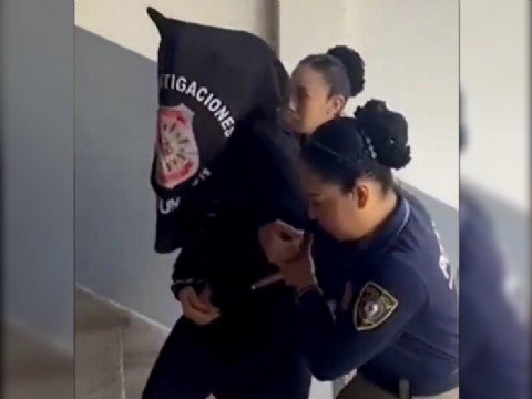 Detuvieron a una falsa arquitecta que ofrecía refacciones y piscinas en redes sociales