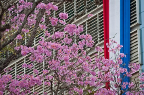 Embajada Argentina lanza concurso fotográfico sobre la ciudad de Asunción