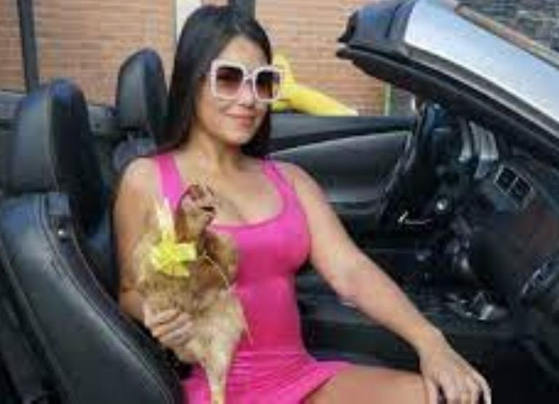 La secretaría de la niñez denuncia  a Laurys Dyva y ella respondió