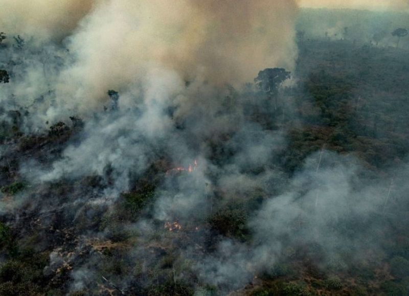 Greenpeace informó que en agosto se quemaron 2 millones y medio de hectáreas en el Amazonas