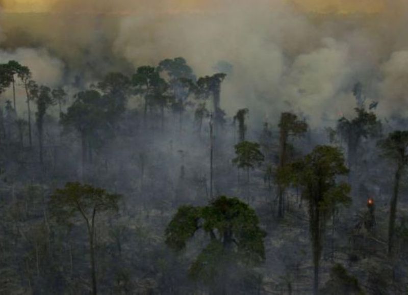 Más de 300.000 hectáreas devastadas por los incendios en la región del Chaco