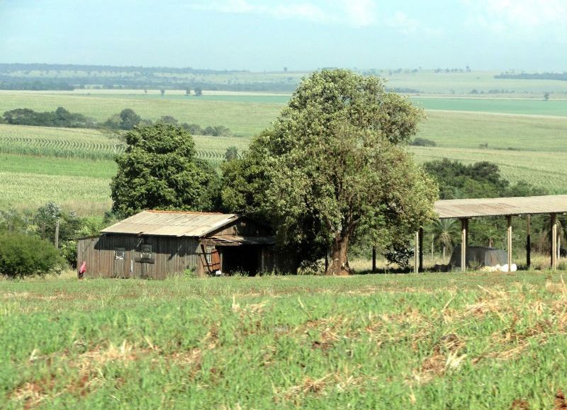 Escalofriante crimen a un capataz de estancia: al huir, incendiaron absolutamente todo