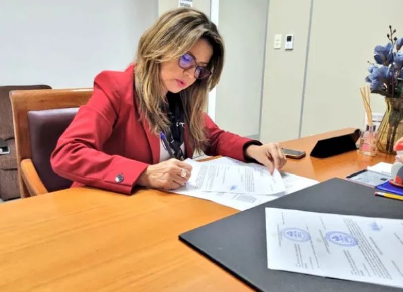 Cecilia Pérez renuncia al cargo de asesora presidencial para abocarse a su candidatura a la Fiscalía General