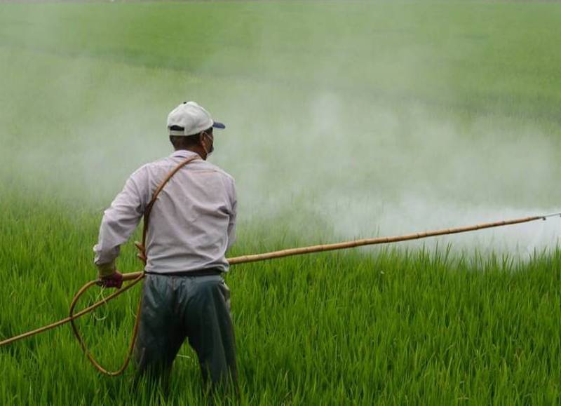 Impactante estudio muestra que los herbicidas de glifosato contienen niveles tóxicos de arsénico