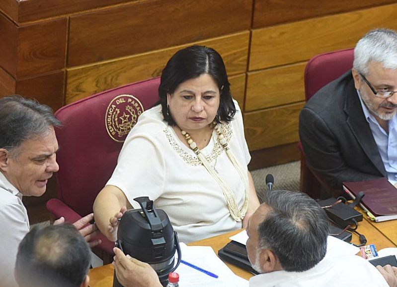 Ley "Cartes-Zavala": había votos suficientes para postergar pero el Frente Guasu se opuso