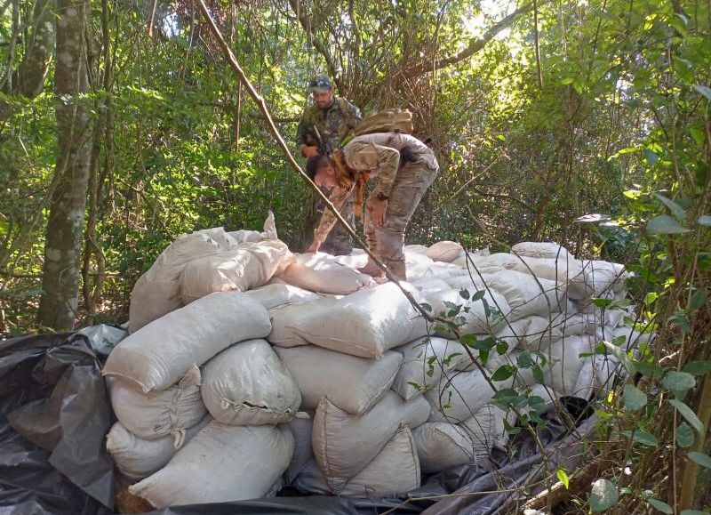 Destruyen 142 toneladas de marihuana tras tres jornadas operativas en Concepción
