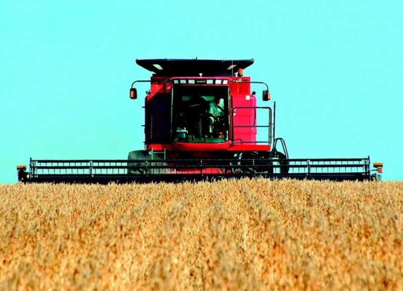 Los sojeros ganarán USD 2.000 millones más pero no darán un centavo adicional al fisco